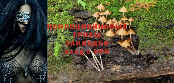 мет Арсеньев