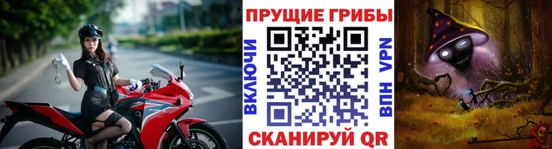 Галлюциногенные грибы GOLDEN TEACHER  Тетюши 